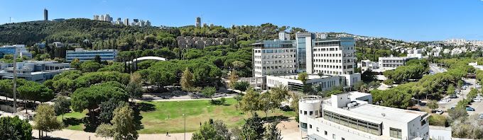 Technion - Institute of Technology 
